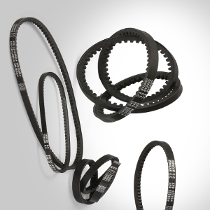 Concar-Ditzinger-Braunschweig